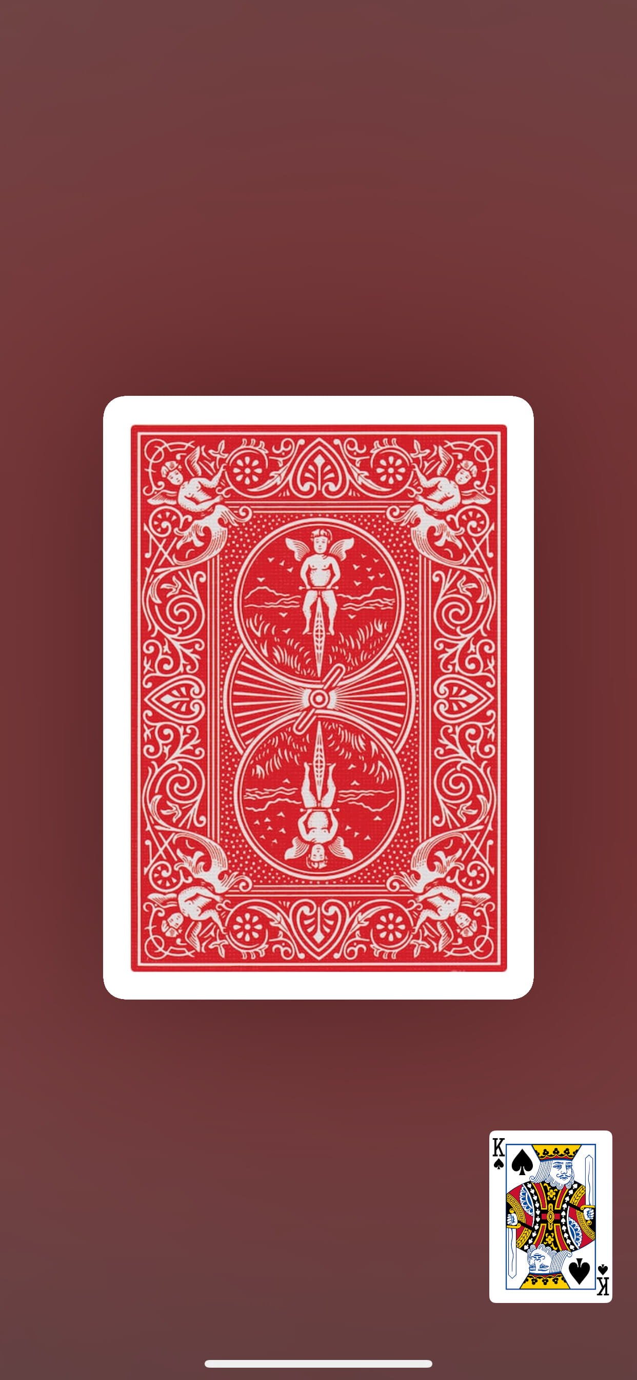 VirtuaDeck screenshot